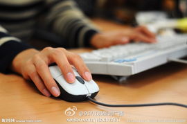 超長時間用電腦如自殺 計算機圖文設(shè)計者的健康警鐘